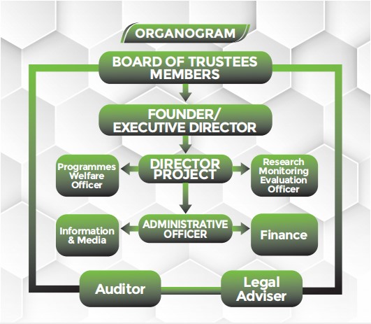 organogram